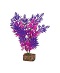 GLOFISH PLANT PURPLE/PINK MEDIUM