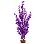 GLOFISH PLANT PURPLE/WHITE   XL