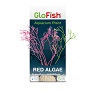 GLOFISH RED ALGAE PLANT