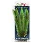 GLOFISH PLANT SEA GRASS