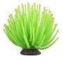 GLOFISH GREEN ANEMONE LG