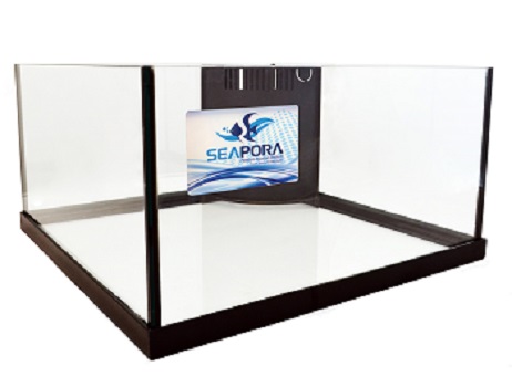 rimless seapora overflow