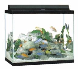56 Gallon Column Aquarium