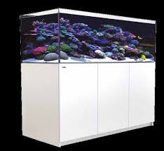 108 Gal Red Sea Reefer Set 525xl W White Stand Elmer S Aquarium