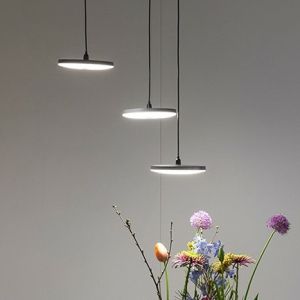 In-lite Disc Pndnt/ceiling Light