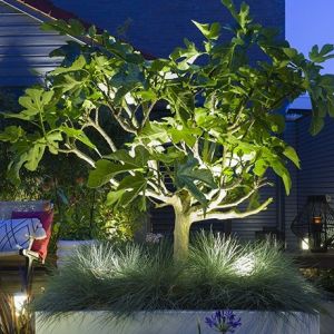 In-lite Scope Spot Light