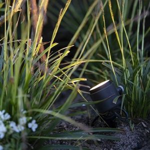 In-lite Mini Scope Spot Light