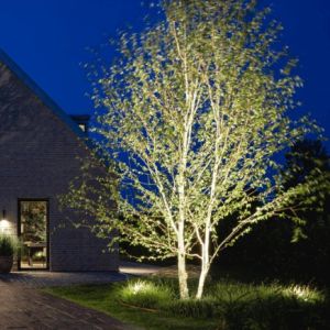 In-lite Big Scope Spot Light