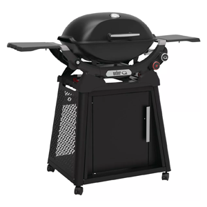 Q2800n  Lp Grill W/ Blk Cart