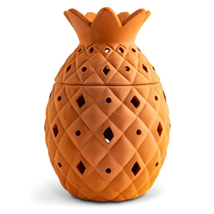 Zendozone Bgpapa Citronella Brnr