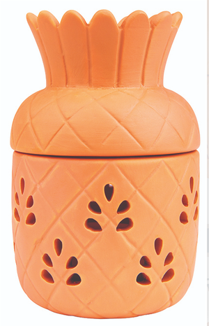 Zendozone Pinapl Citronella Brnr