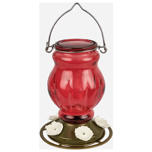 Ruby Vision Antq Glass 29oz Hu