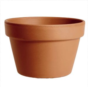 (sp) 6" Terra Cotta Azalea Pot