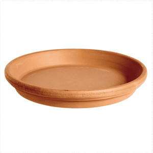 (sp) 10" Terra Cotta Saucer