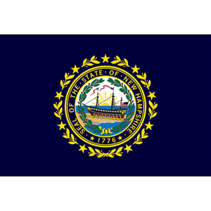 3x5 Nylon Nh State Flag