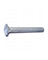 GALV CARR BOLT 1/2 x 10