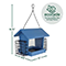 Hopper Hngout 3qt Suet Feedr