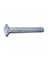 GALV CARR BOLT 1/4 x 2