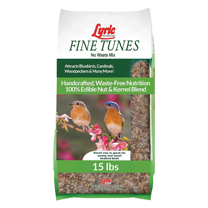 Fine Tunes 15# LYRIC