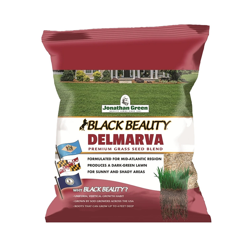 3LBS DELMARVA GRASS SEED