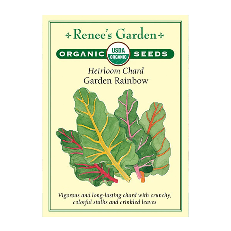 CHARD GAR RAINBOW ORGANIC