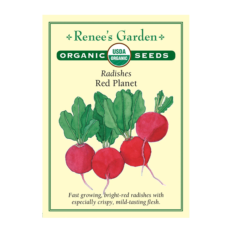 RADISH RED PLANET ORGANIC