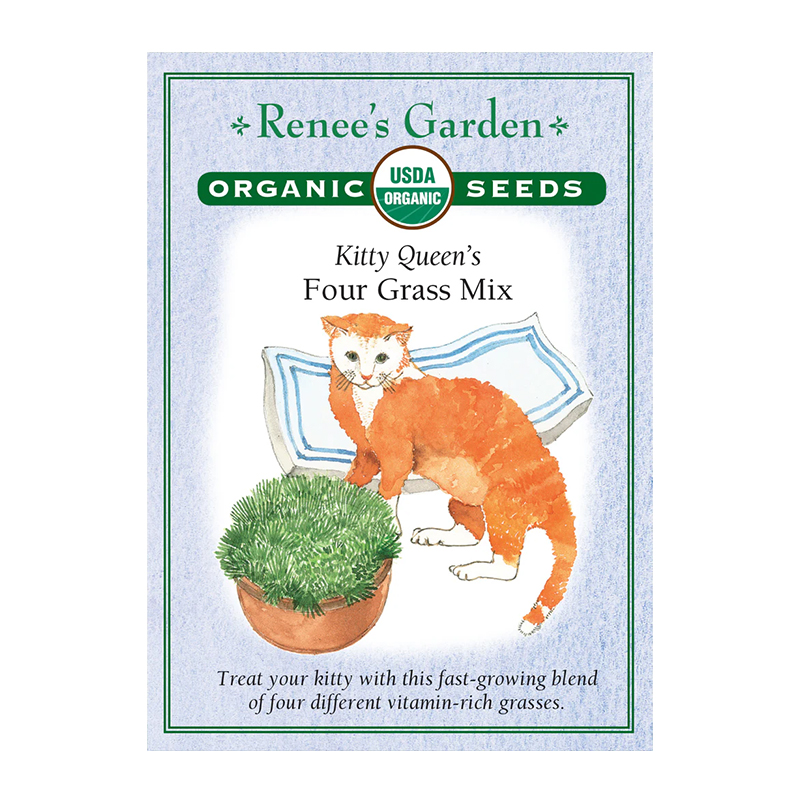 CAT GRASS MIX ORGANIC