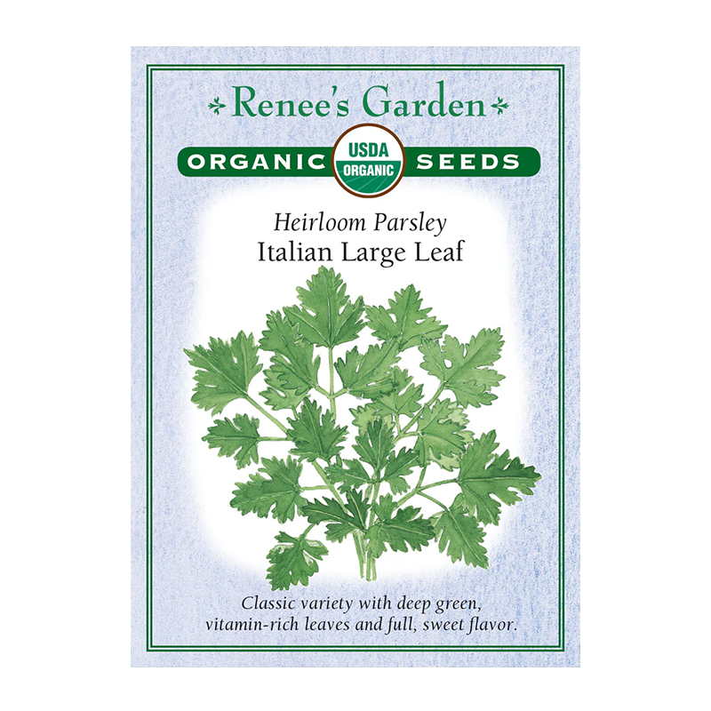 PARSLEY ITALIAN LARGE  ORGANIC