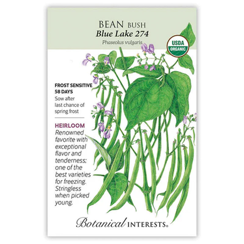 Bean Bush Blue Lake 274 Org