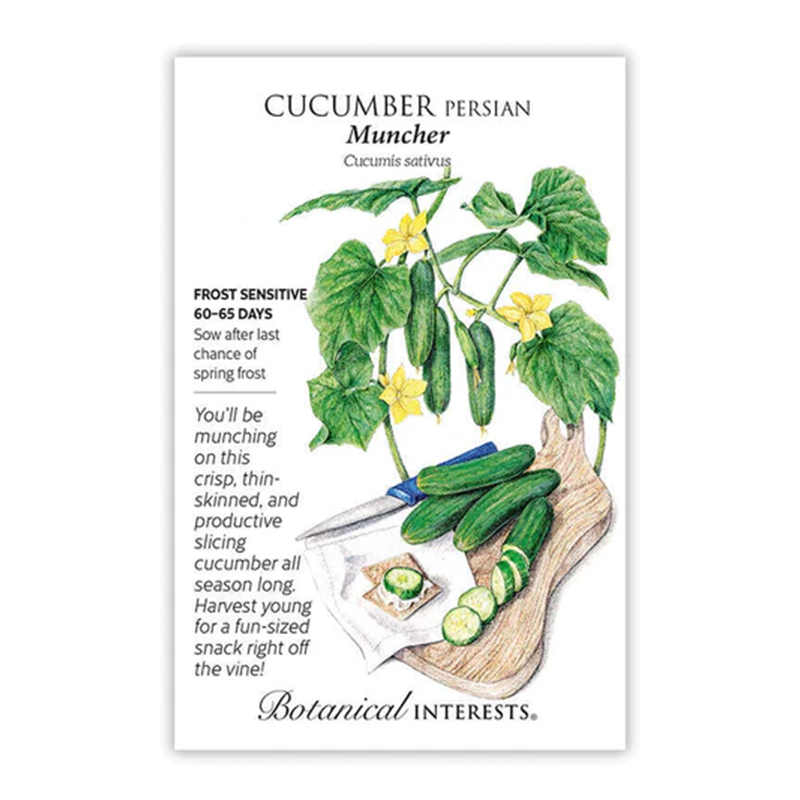 CUCUMBER  MUNCHER