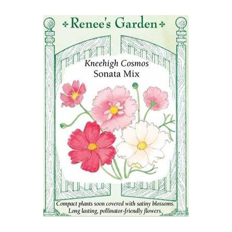 COSMOS SONATA KNEE-HIGH