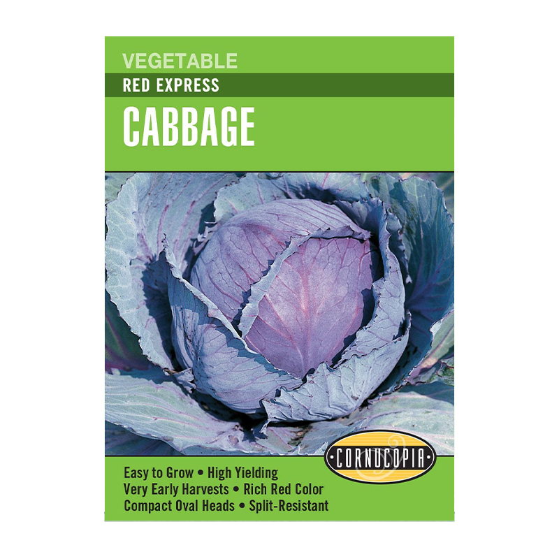 CABBAGE RED EXPRESS