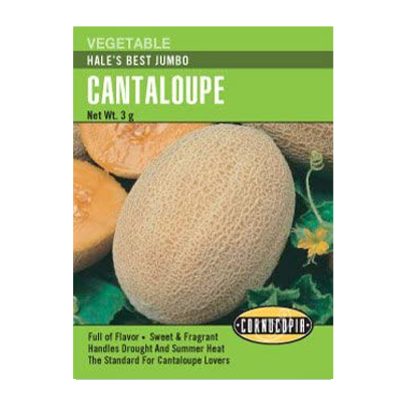 CANTALOUPE HALE'S BEST JUMBO