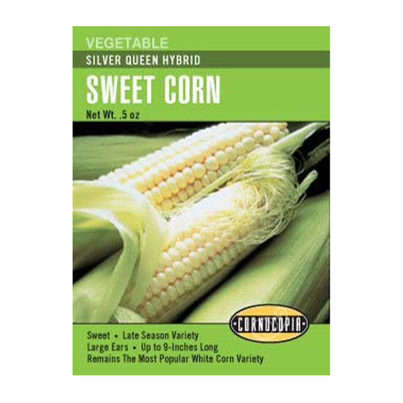 CORN SWEET SILVER QUEEN HYBRID