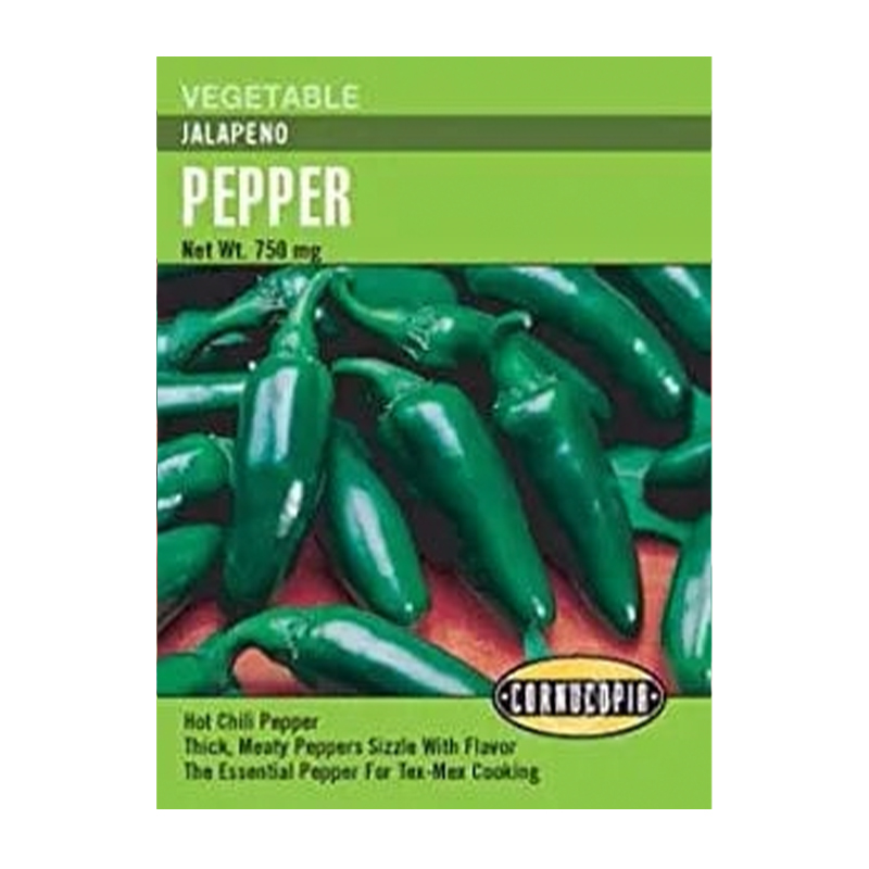 PEPPER JALAPE O CHILE