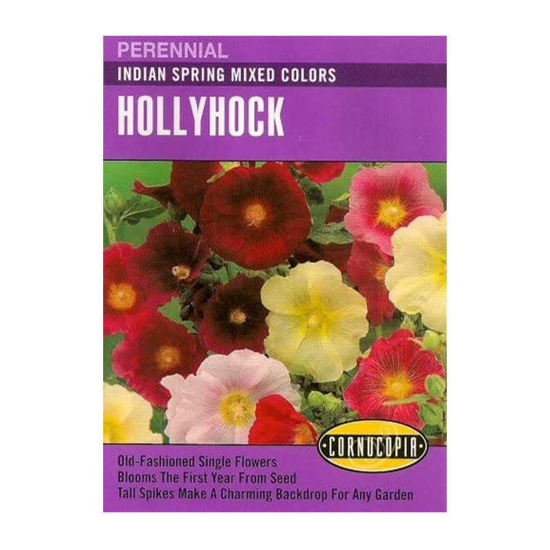 HOLLYHOCK INDN SPRNG MIXED COLRS