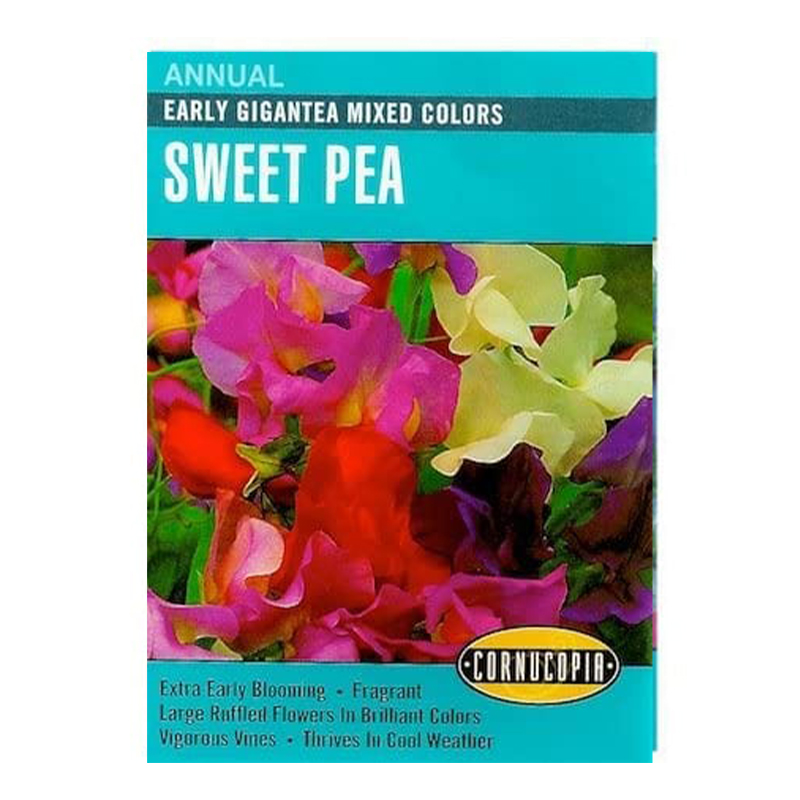 SWEET PEA ERLY GIGANT MIXD COLR