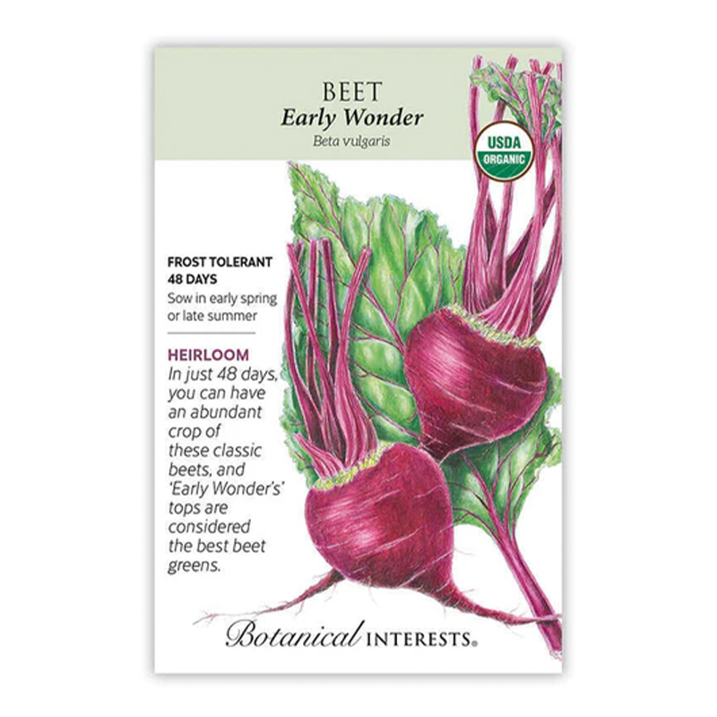 Beet Early Wonder Org