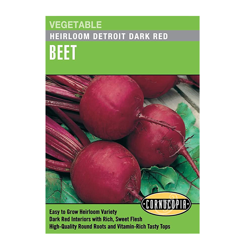 BEET DETROIT DARK RED