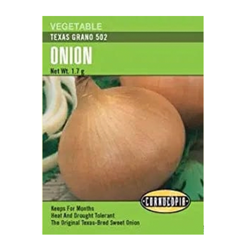 ONION TEXAS GRANO 502