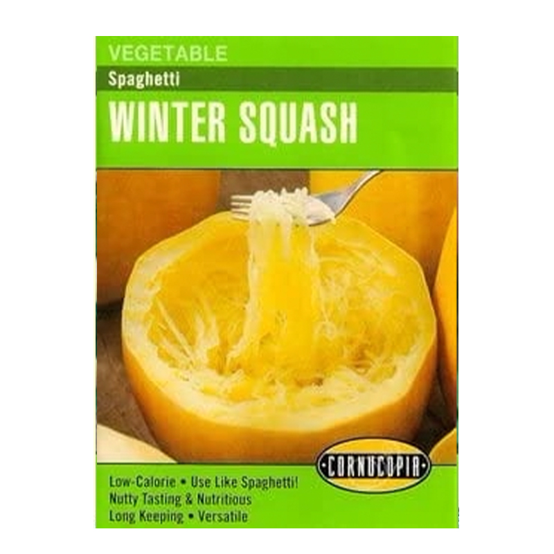 SQUASH WINTER SPAGHETTI