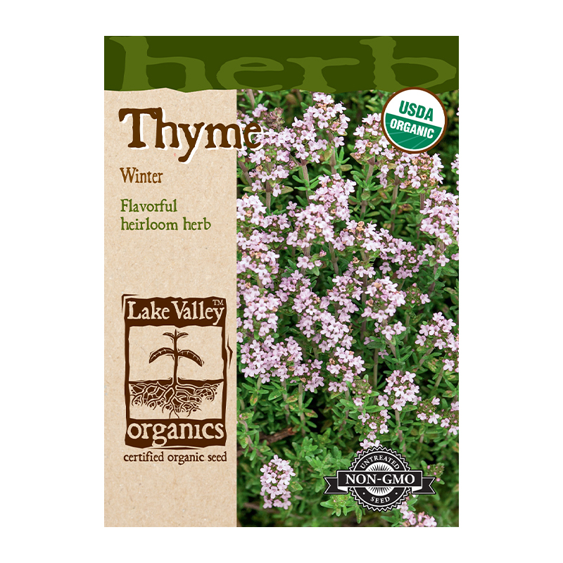 THYME WINTER HEIRLOOM ORG