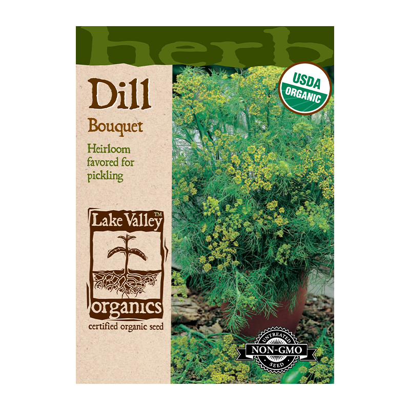 DILL BOUQUET HEIRLOOM ORG