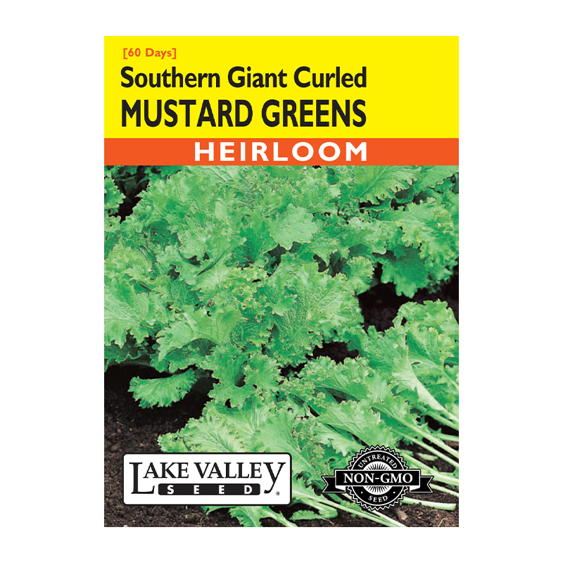 MUSTARD GREENS HEIRLOOM