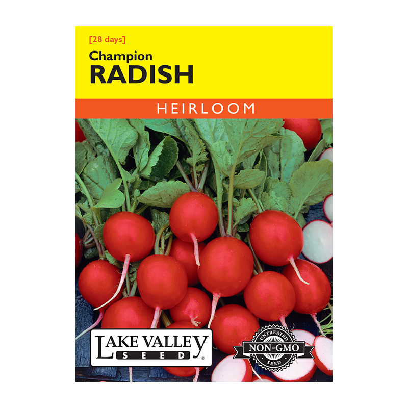 RADISH CHAMPION HEIRLOOM