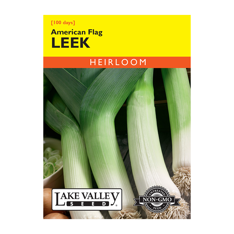 LEEK AMERICAN FLAG HEIRLOOM