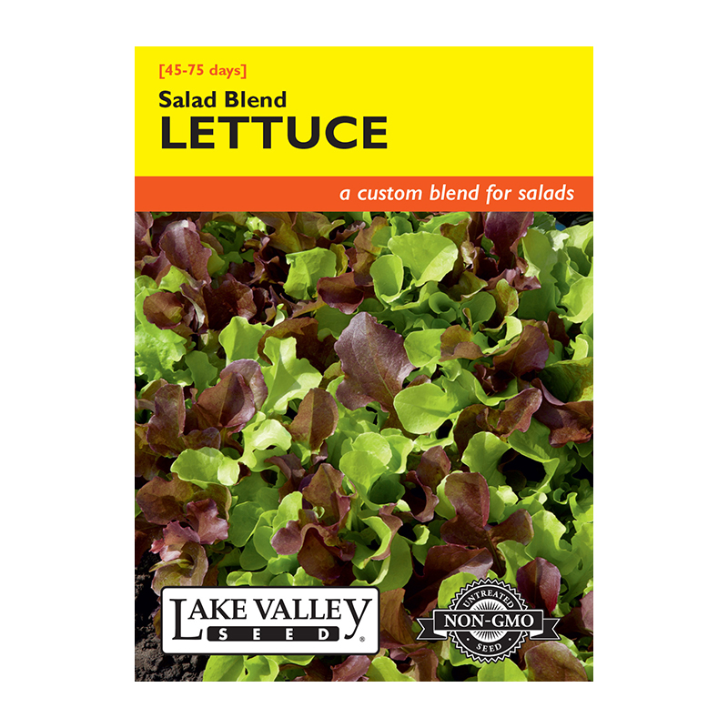 LETTUCE SALAD BLEND