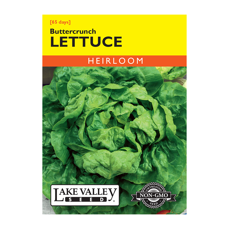 LETTUCE BUTTERCRUNCH HEIRLOOM