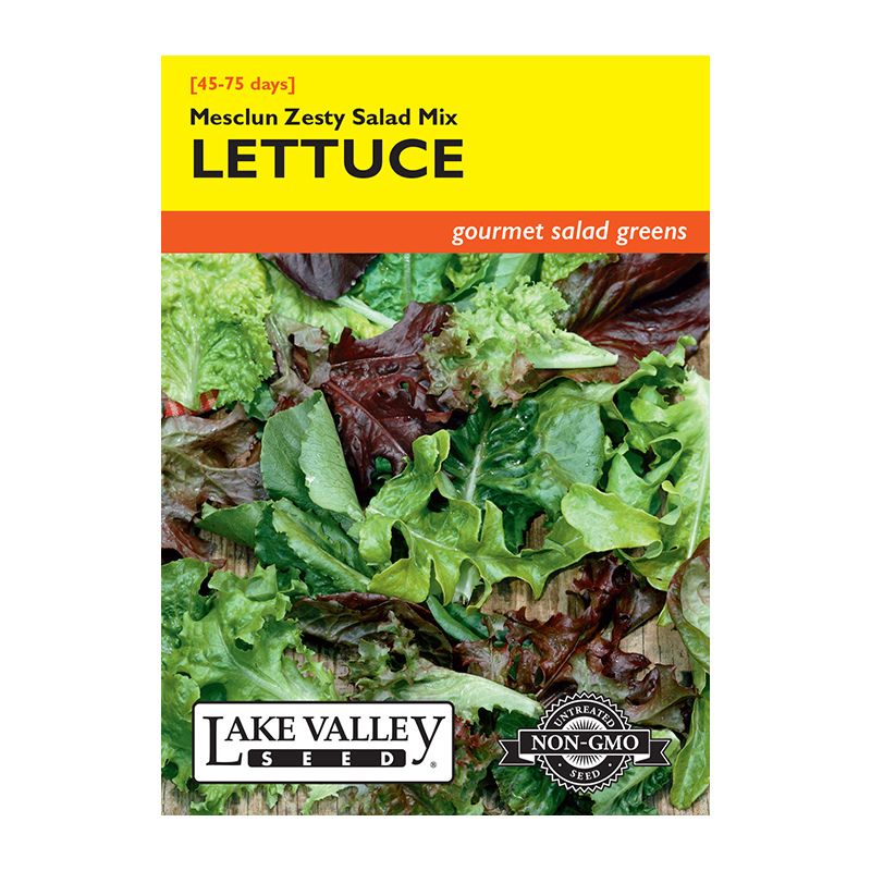 LETTUCE MESCLUN ZESTY SALAD MIX