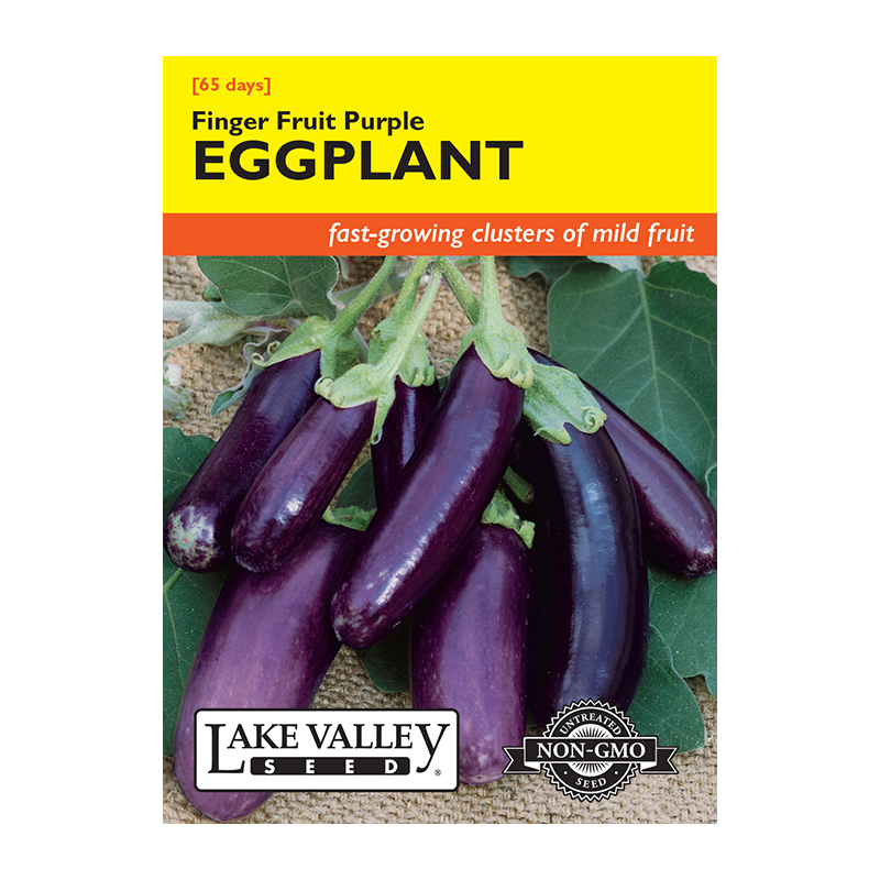 EGGPLANT FINGER FRUIT PURPLE